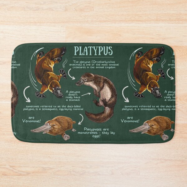 Item preview, Platypus Fun Facts designed and sold by KyleNesas.