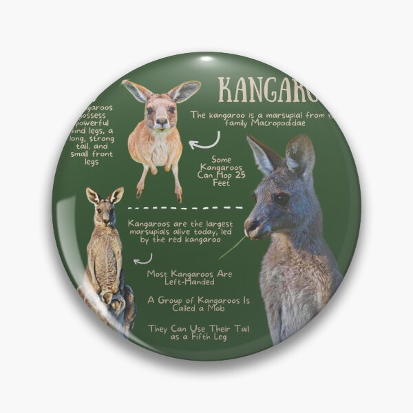 Item preview, Kangaroo Fun Facts designed and sold by KyleNesas.