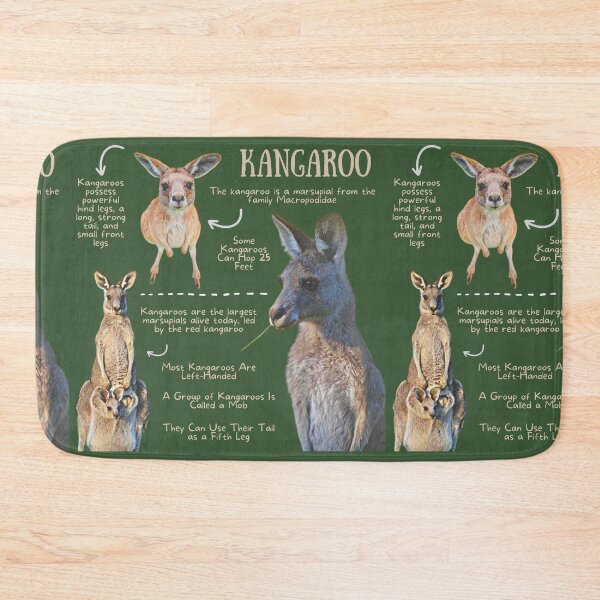 Item preview, Kangaroo Fun Facts designed and sold by KyleNesas.