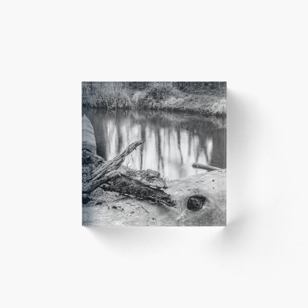 Woodland Bark river mirror Acrylic Block