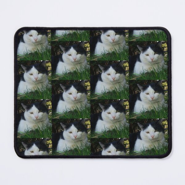 Item preview, Cat Animal Nature designed and sold by Sternchen2789.