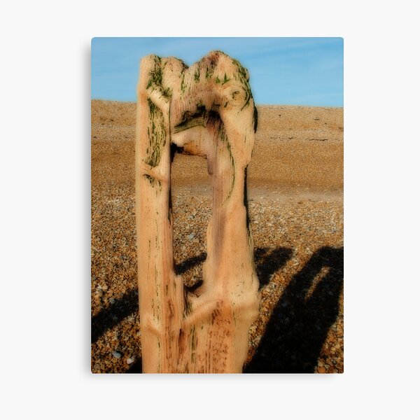 Winchelsea Beach Canvas Print