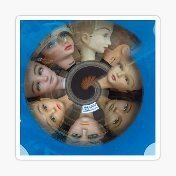 Spin Cycle Sticker