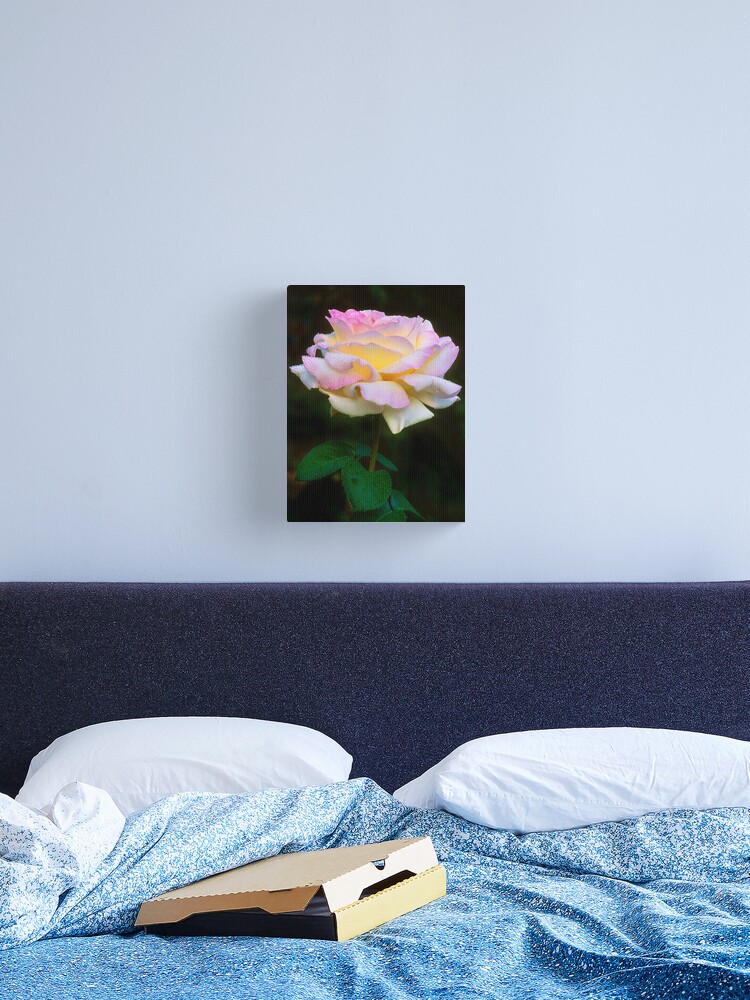 Thumbnail 2 of 3, Canvas Print, Summer Shower Rose designed and sold by nikongreg.