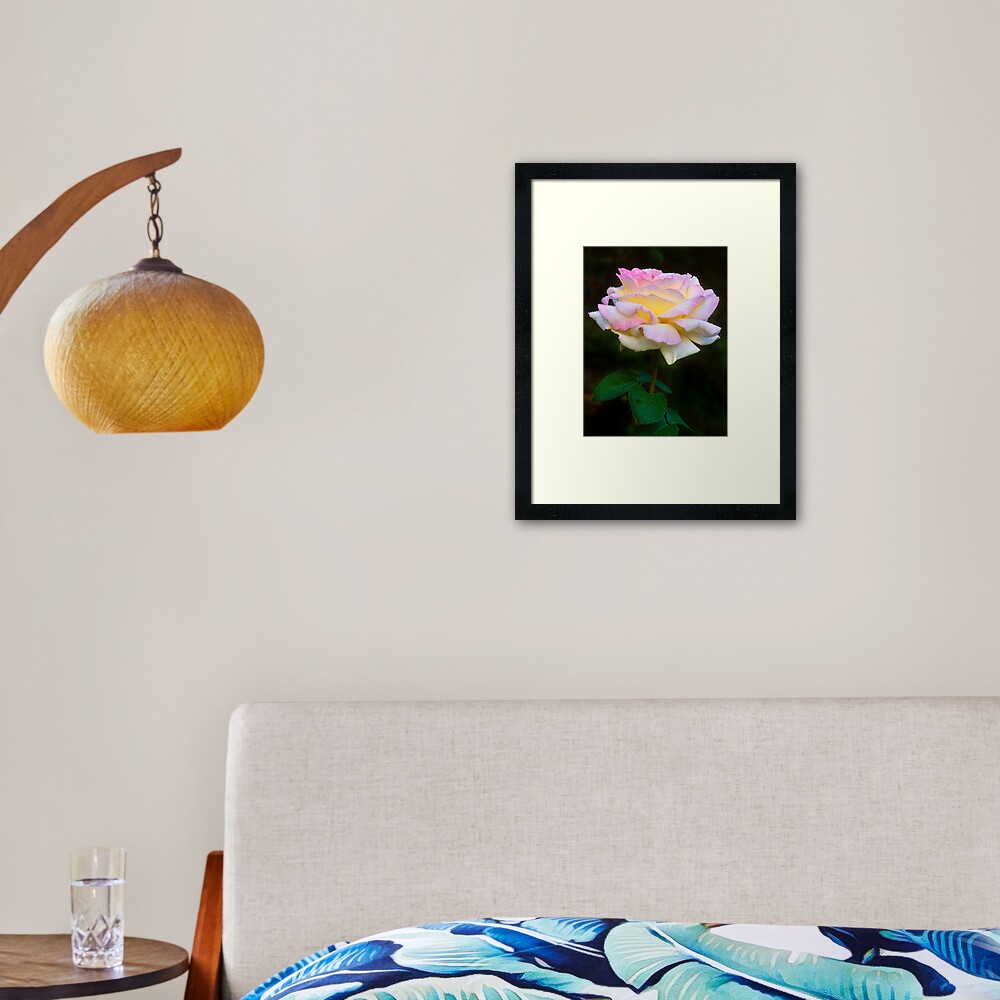 Item preview, Framed Art Print designed and sold by nikongreg.