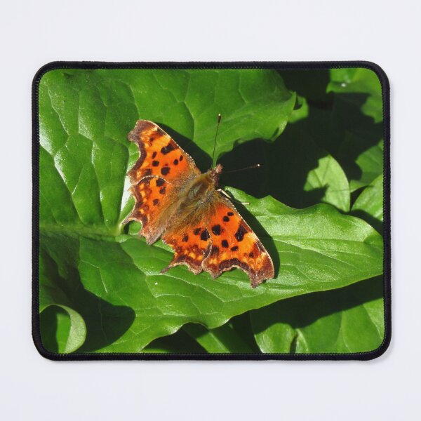 Item preview, Comma Butterfly designed and sold by wiggyofipswich.