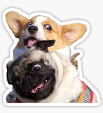 Corgi and Pug Sticker