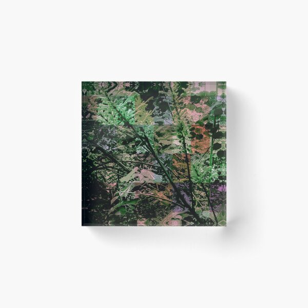 Bella Acrylic Block