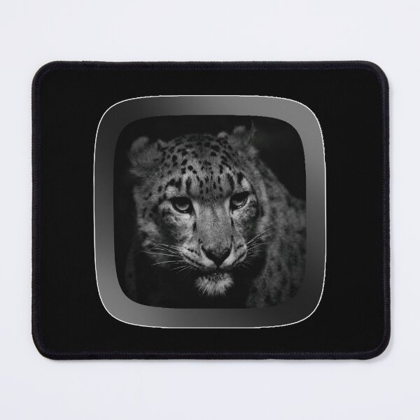 Item preview, Snow leopard photoshoot closeup designed and sold by josephfanous.
