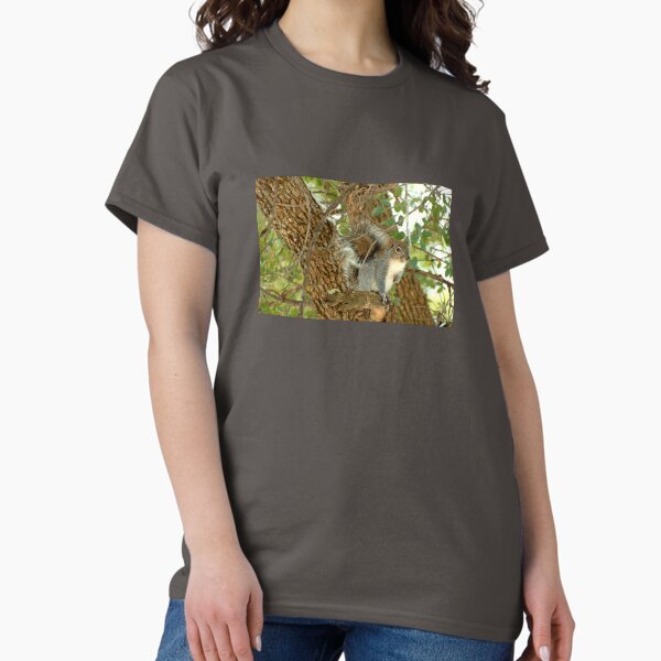 Item preview, Western Grey Squirrel In A Tree designed and sold by K D Graves Photography.
