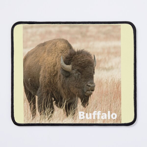 Item preview, Wild Buffalo Canvas Wall Art designed and sold by LGMmugsdesign.
