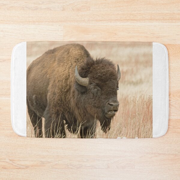 Item preview, Wild Buffalo Canvas Wall Art designed and sold by LGMmugsdesign.