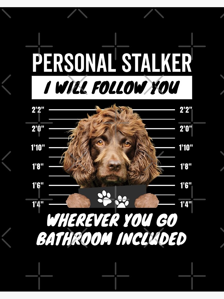 Personal Stalker Dog – Liver Boykin Spaniel Art Board Print