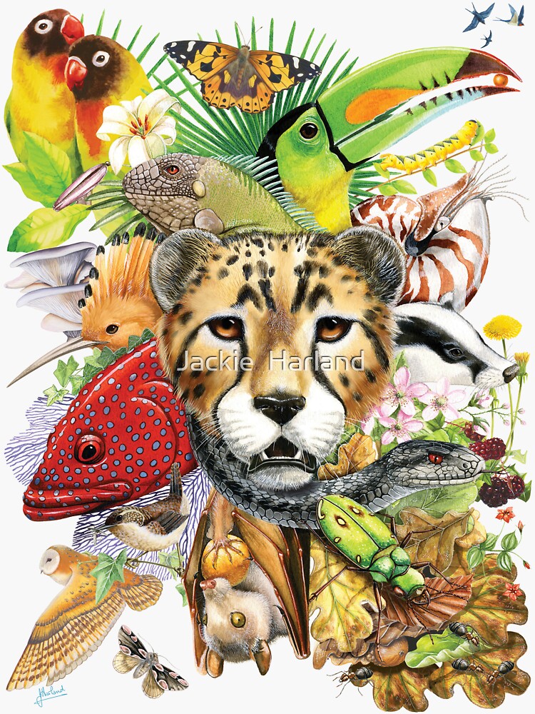 World of Nature Montage by Meadowpipit