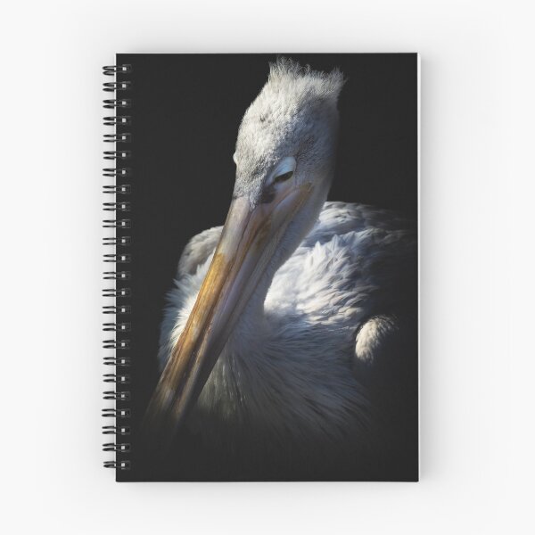 Item preview, Dozing Pelican designed and sold by RichardSayer.