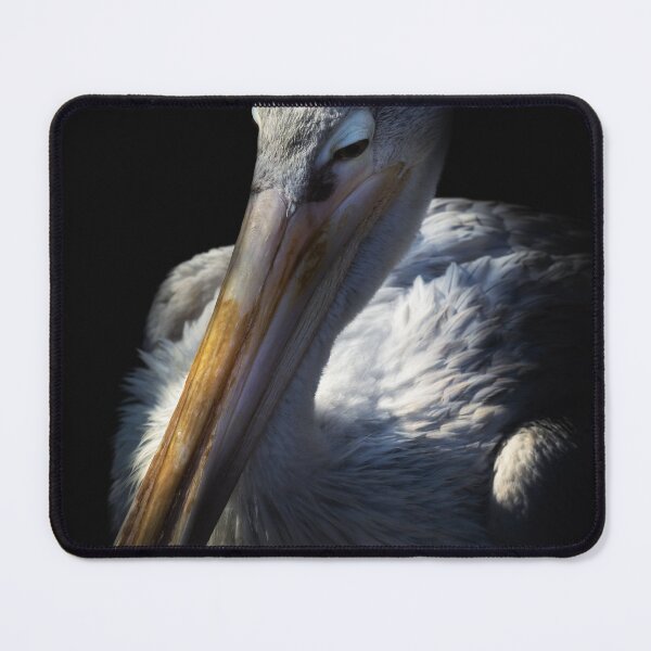 Item preview, Dozing Pelican designed and sold by RichardSayer.