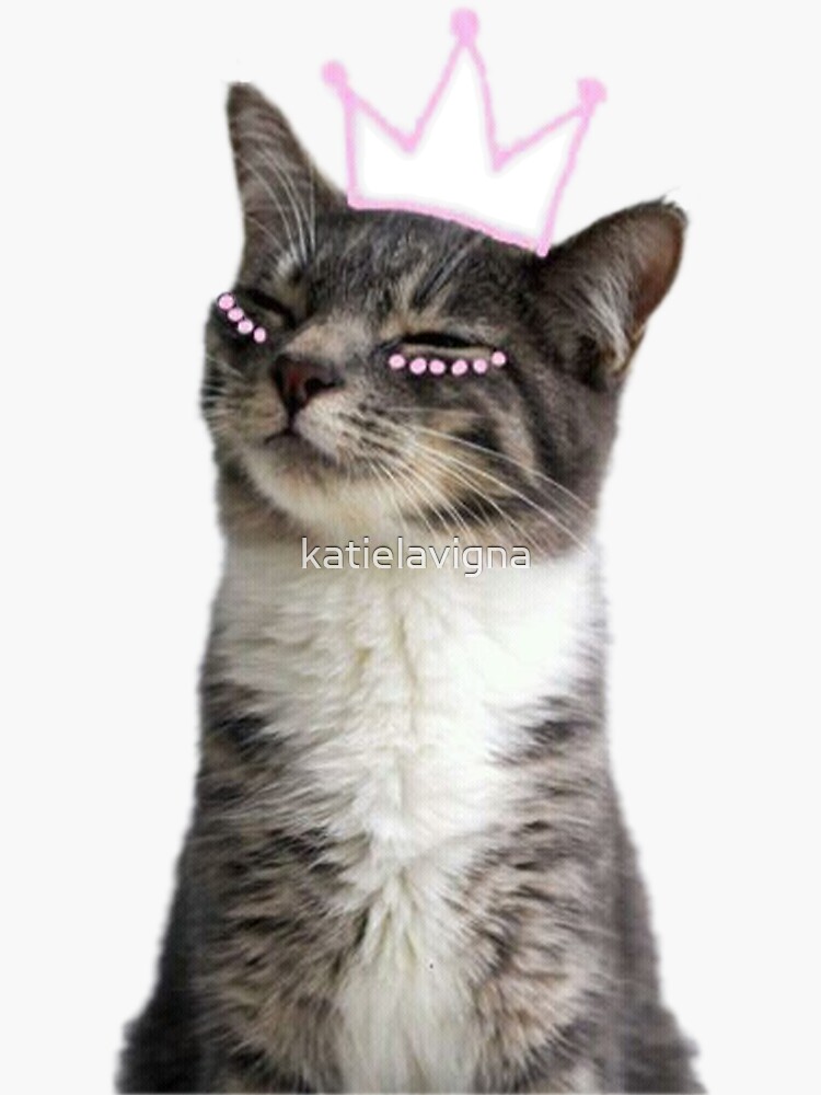 princess kitty by katielavigna