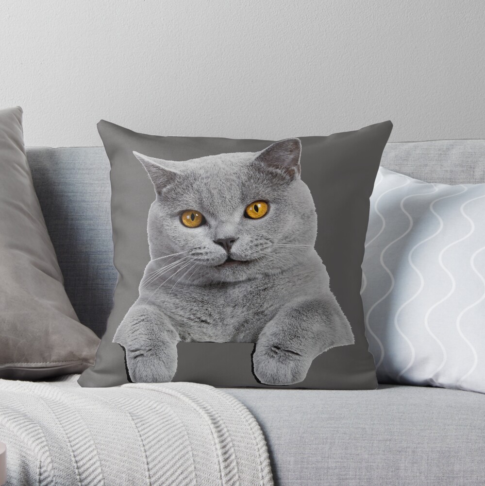 cat throw pillow covers