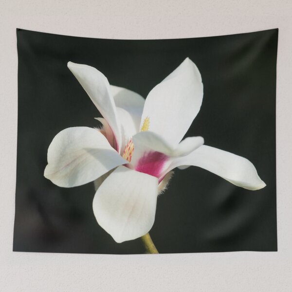 Item preview, Becoming designed and sold by Cathy Donohoue.