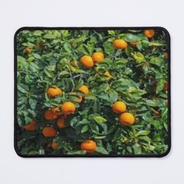 Item preview, orange tree in fruit designed and sold by nigejohn.