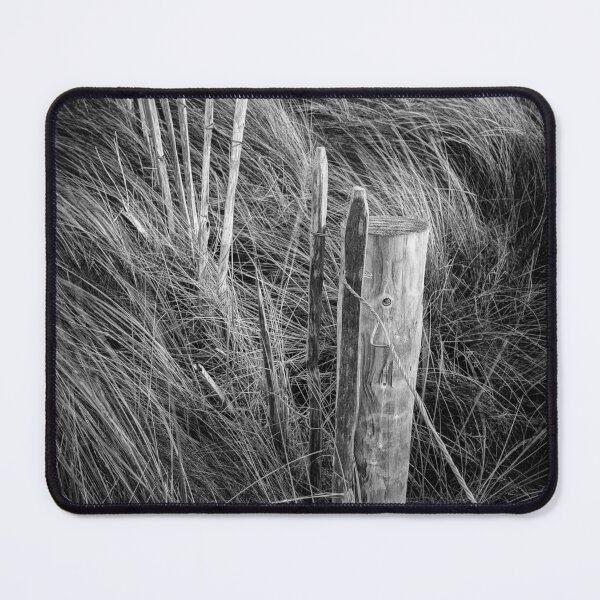 Item preview, East Strand Dunes 3 designed and sold by Nigel R Bell Photography.