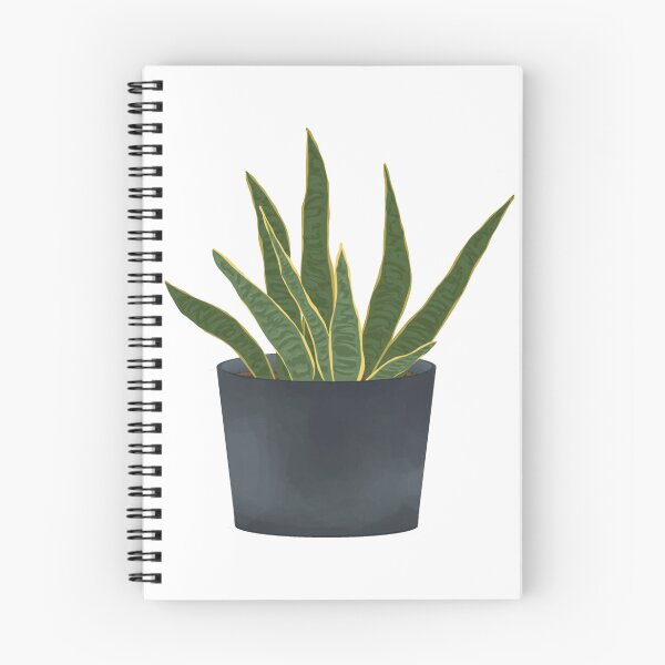 Item preview, Snake plant in pot designed and sold by cinnamondrawing.