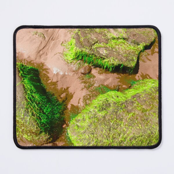Item preview, Seaweed covered rocks designed and sold by Shulie1.