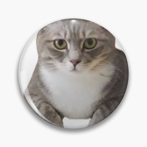 Item preview, STARRING GRAY TABBY KITTEN designed and sold by giantstep.