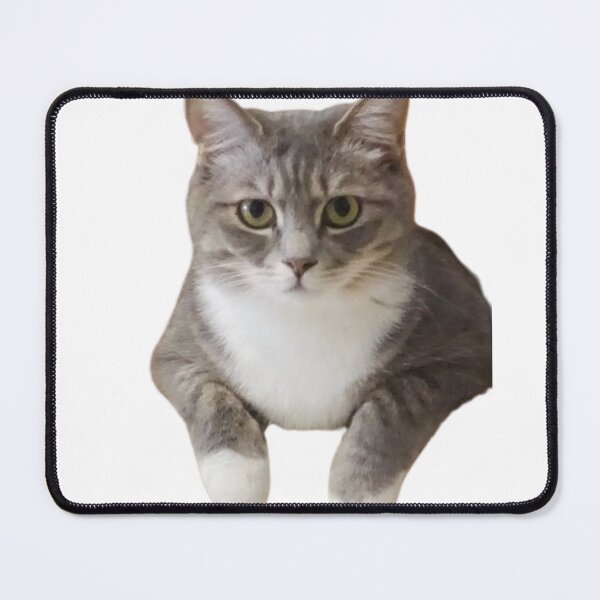 Item preview, STARRING GRAY TABBY KITTEN designed and sold by giantstep.