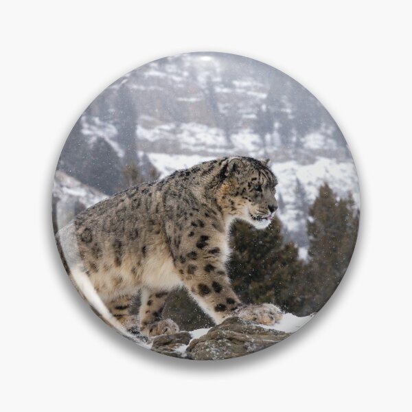 Item preview, Snow Leopard designed and sold by mrshutterbug.