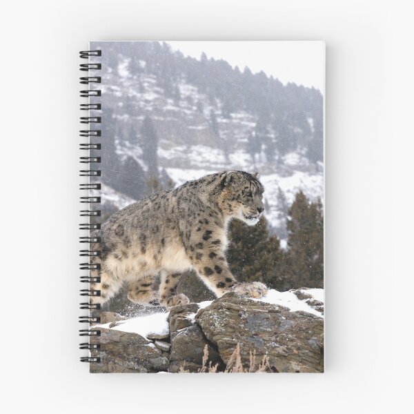 Item preview, Snow Leopard designed and sold by mrshutterbug.