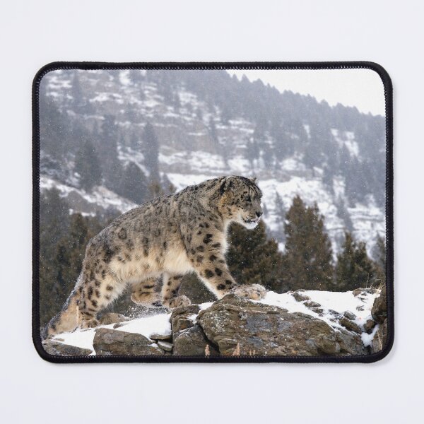 Item preview, Snow Leopard designed and sold by mrshutterbug.