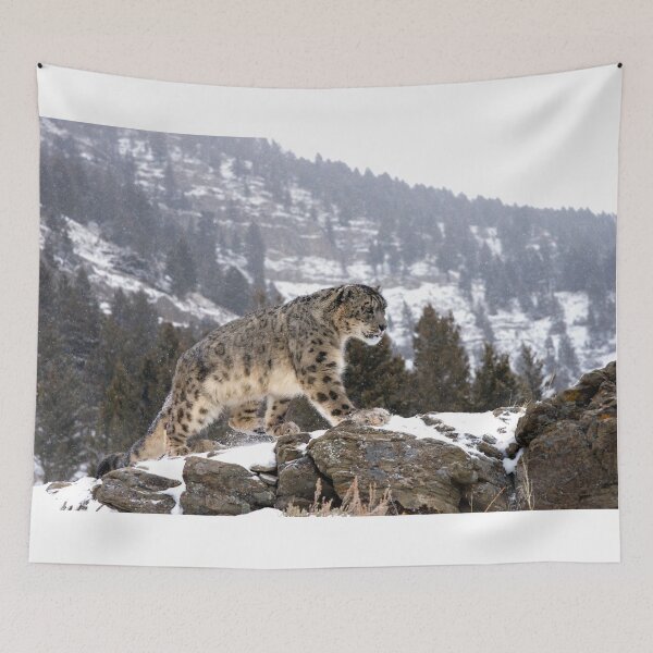 Item preview, Snow Leopard designed and sold by mrshutterbug.