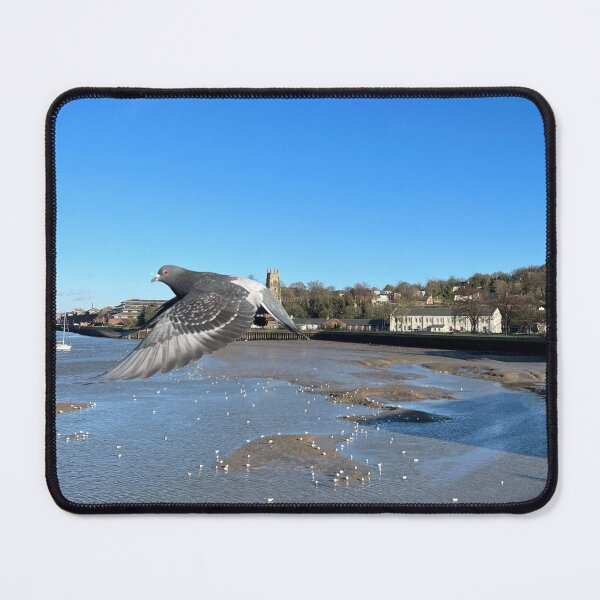 Item preview, River pigeon designed and sold by yourartylife.