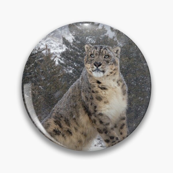 Item preview, Snow Leopard 10 designed and sold by mrshutterbug.