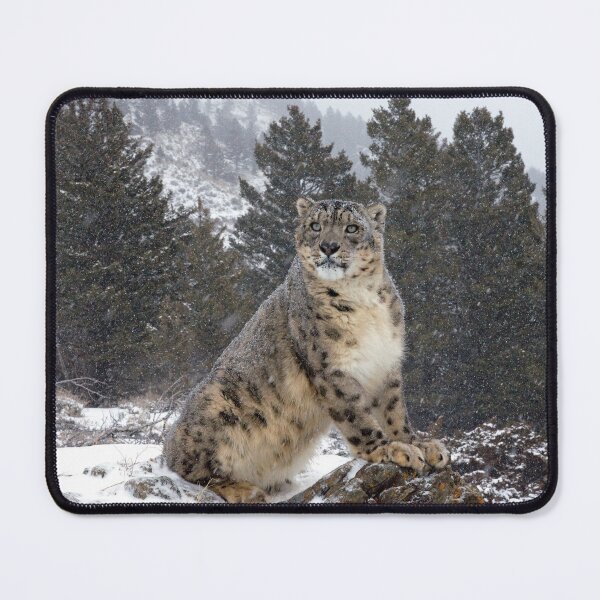 Item preview, Snow Leopard 10 designed and sold by mrshutterbug.