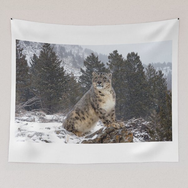 Item preview, Snow Leopard 10 designed and sold by mrshutterbug.