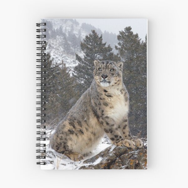 Item preview, Snow Leopard 10 designed and sold by mrshutterbug.