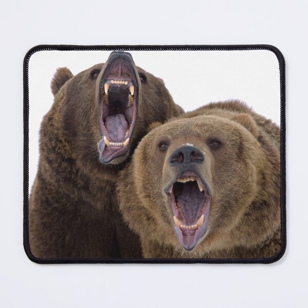 Item preview, Grizzly Bears designed and sold by mrshutterbug.