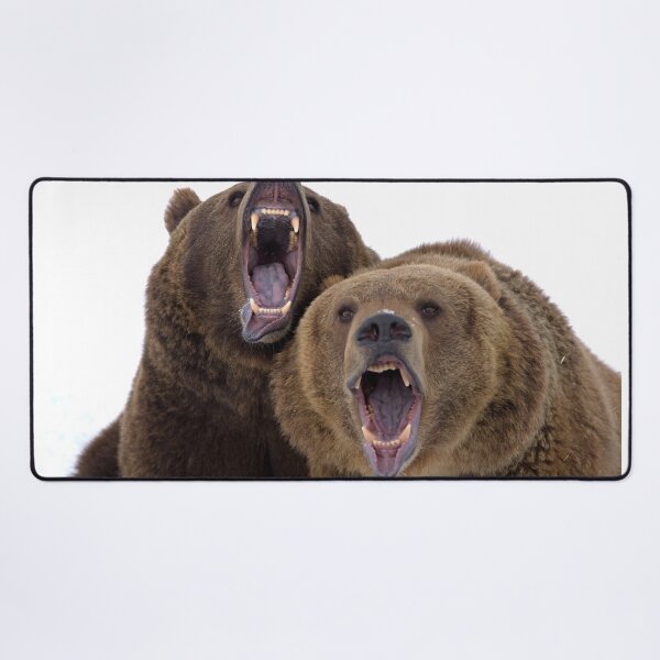 Item preview, Grizzly Bears designed and sold by mrshutterbug.