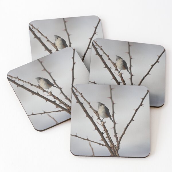 Item preview, Thorny Tufted Titmouse  designed and sold by LisaNaturePhoto.