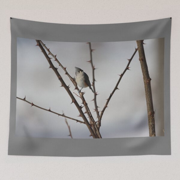 Item preview, Thorny Tufted Titmouse  designed and sold by LisaNaturePhoto.