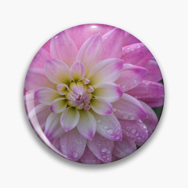 Item preview, Burst of purple - dahlia designed and sold by WesleyBarr.