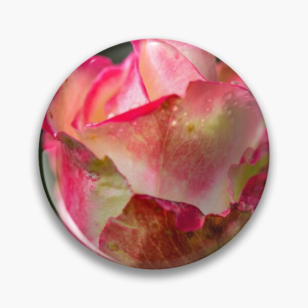 Item preview, A rose by any other name would smell as sweet designed and sold by WesleyBarr.