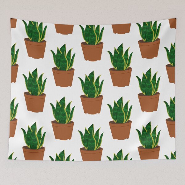 Item preview, Snake Plant,SANSEVIERIA HAHNII ,ikea,covid-19,mask,plant,cute plant,Sansevieria designed and sold by bow00wod.