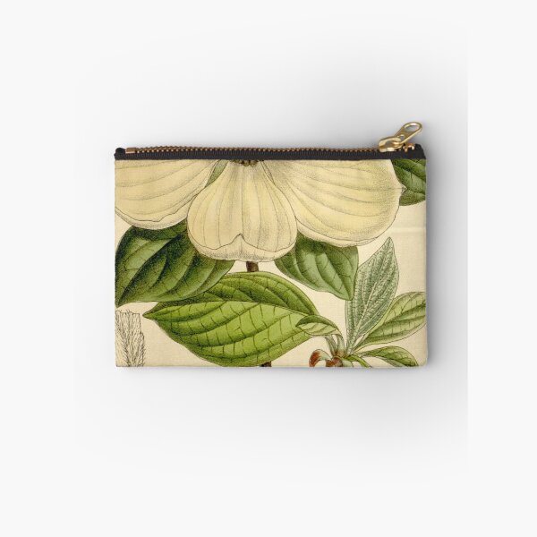 Item preview, Cornus nuttallii 136 8311 designed and sold by EsotericBotanic.