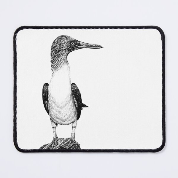 Item preview, Blue-footed booby bird designed and sold by LorenDowding.
