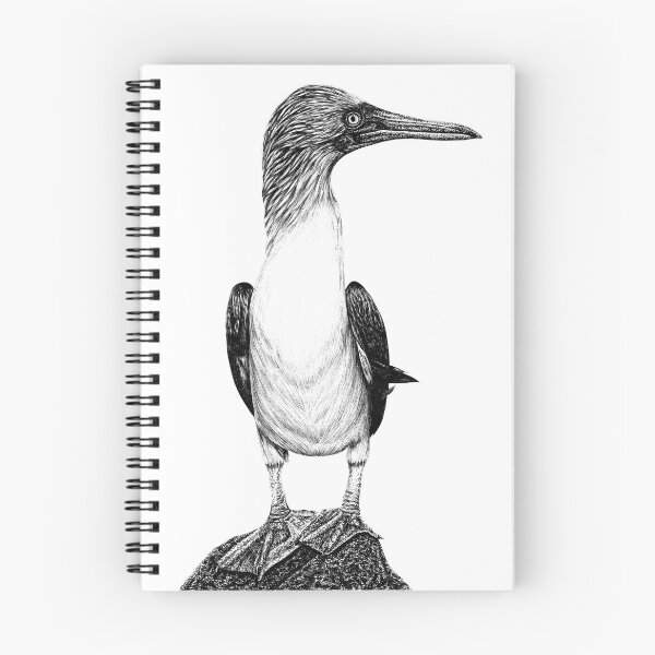 Item preview, Blue-footed booby bird designed and sold by LorenDowding.