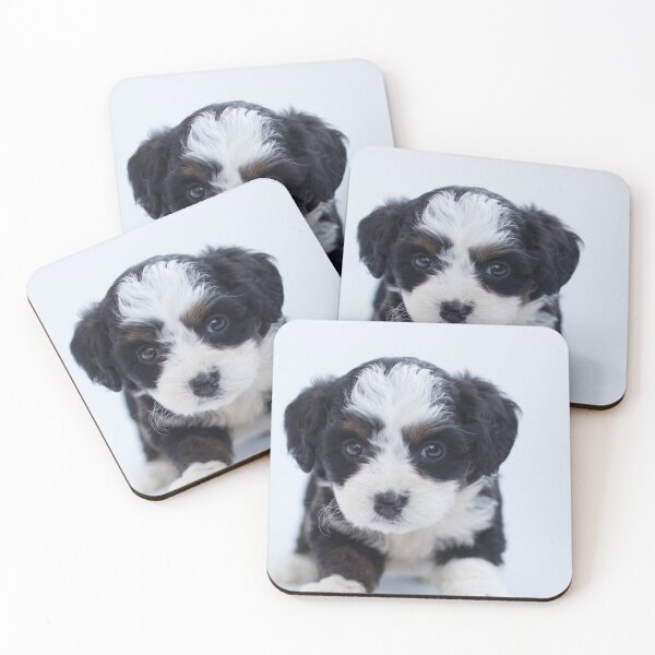 Item preview, Cute black and white puppy  designed and sold by Past-Midnight.