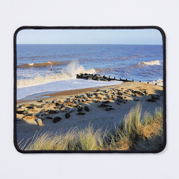 Item preview, Seal Beach designed and sold by ScenicViewPics.